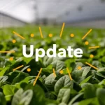 Healthy Hydroponic Project Update – March 2021
