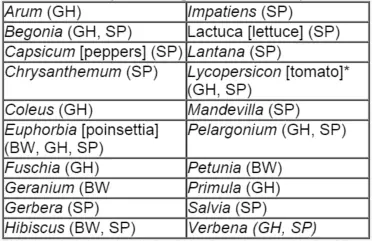  List of top hosts of whiteflies