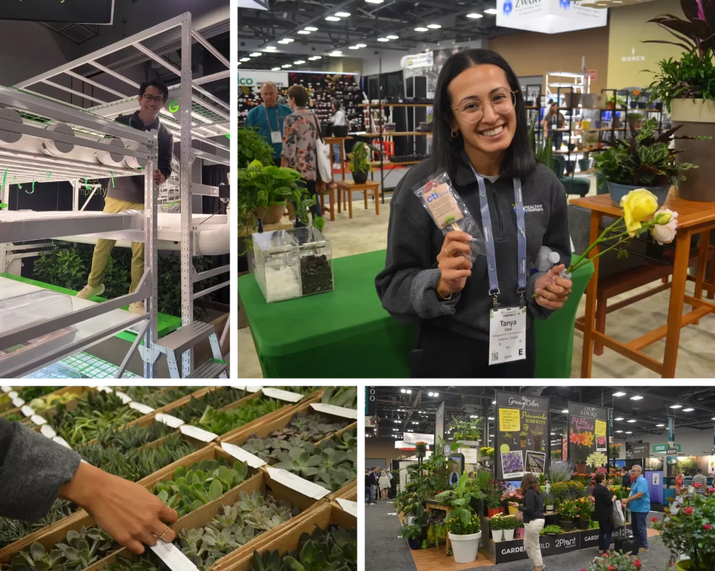 Healthy Hydroponics at Cultivate'22