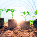 The Benefits of Microbial Beneficials for Plants
