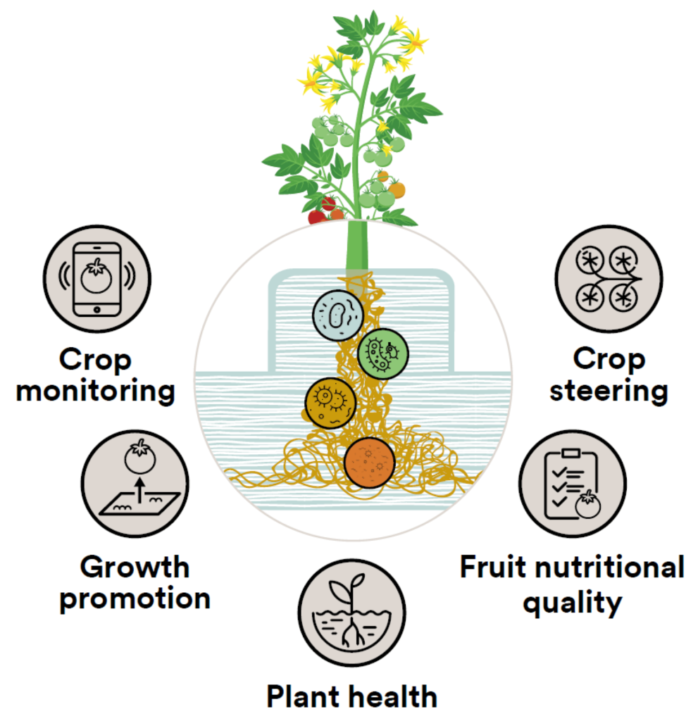 hydroponic microbiome benefits