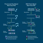 Understanding qPCR: A Summary for Greenhouses